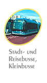 Stadt- und Reisebusse Kleinbusse